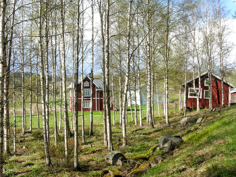 Hoge Kust Bart De Winter 2011 DSCN5878 Export W950