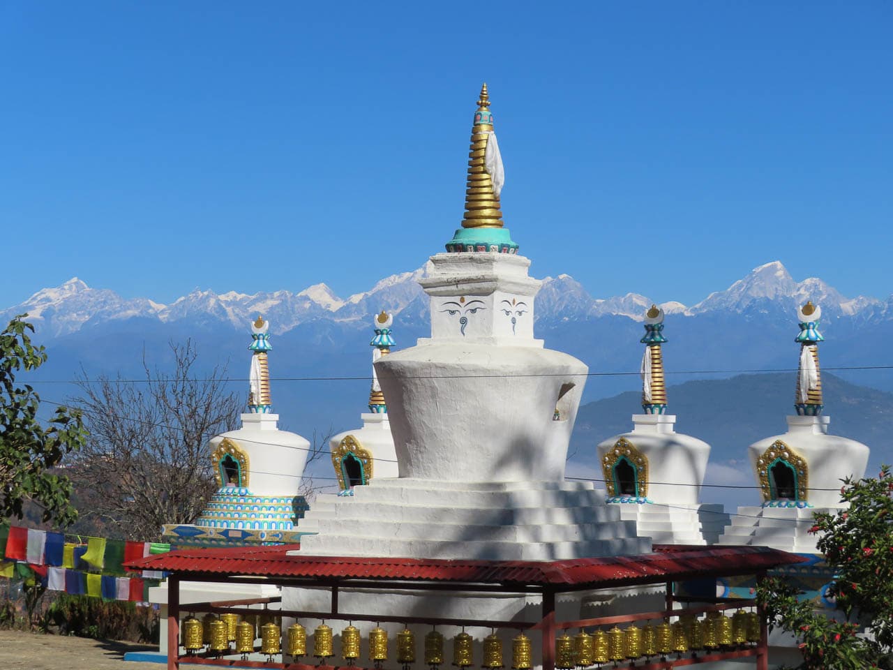 Selectie Temal 4 Betty Moureaux