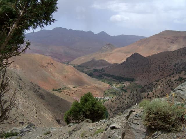 IND11-100GR11-134-Atlas-O-W-Carlo-Borgers-09-reeks1-105_export