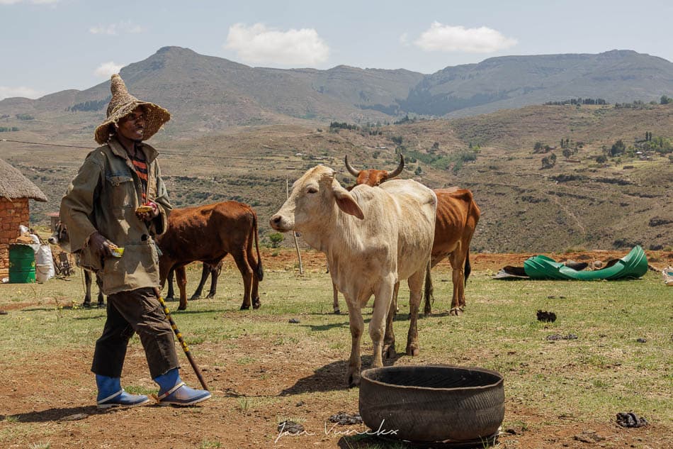 IMG 5159 Selectie Jan R8 W950