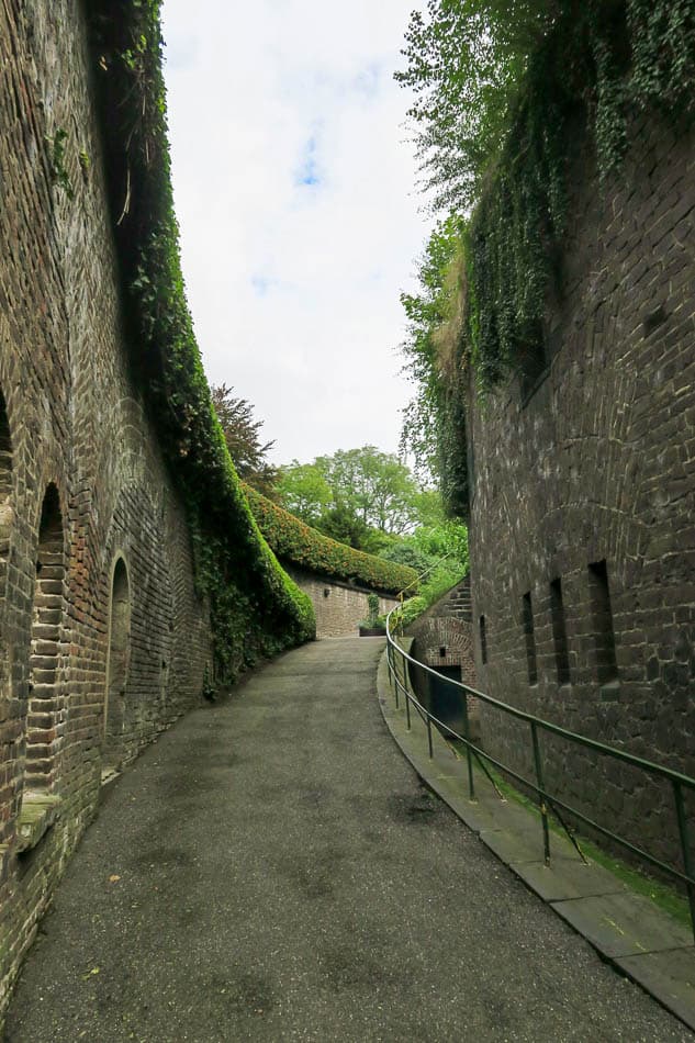 foto Keulen_files_IMG_5995_Dirk Smets_w950