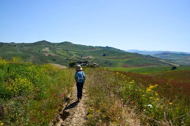 DSC 6128 Selectie Melissa Bernard Quintens W950