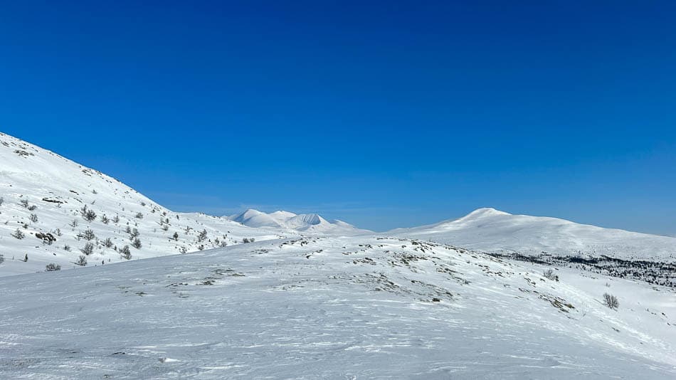 Image00096 Selectie Denise Nieuwejaers W950