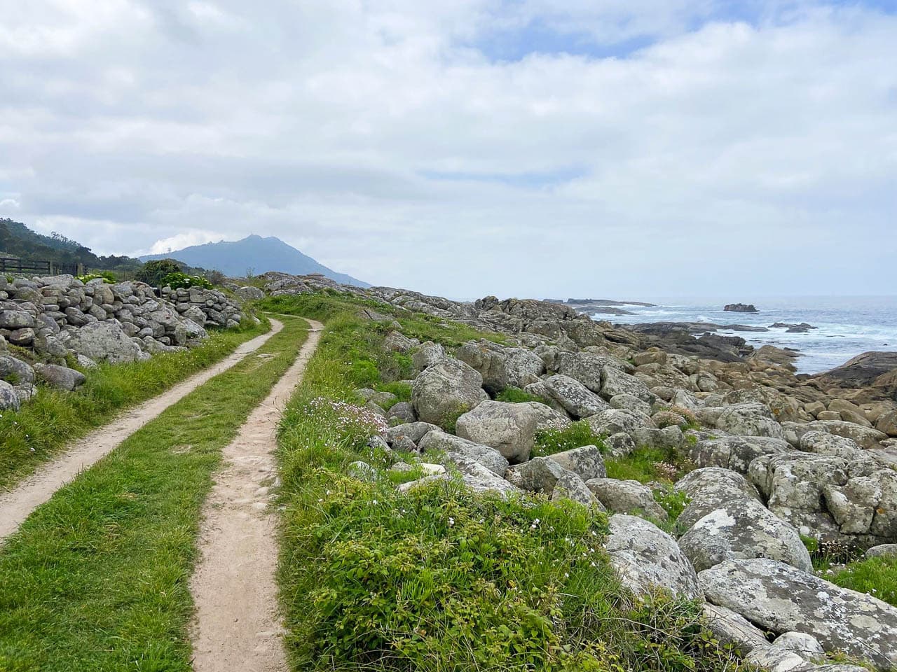 Jan Maes PHOTO 2025 10 21 22 49 325 Jan Maes