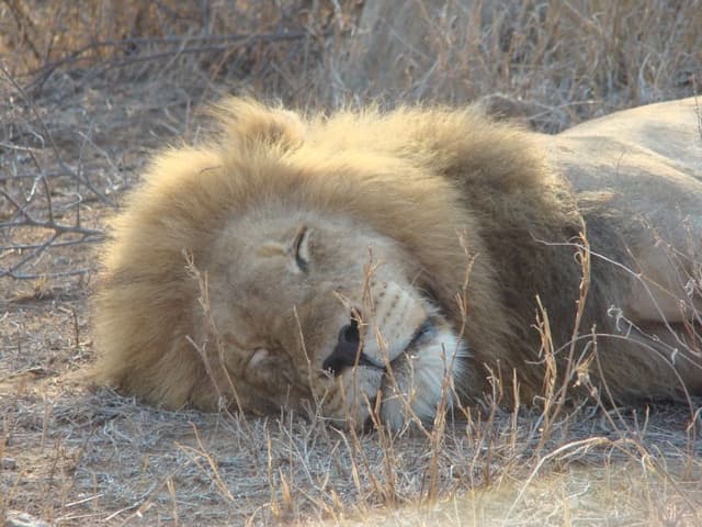 GR13-71-Zuid-Afrika-08-Esther-den-Doelder-DSC02045_export