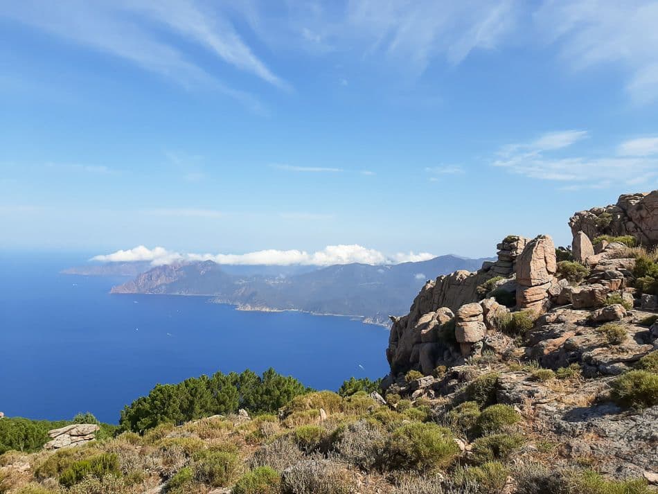 20200724_101852_export_w950