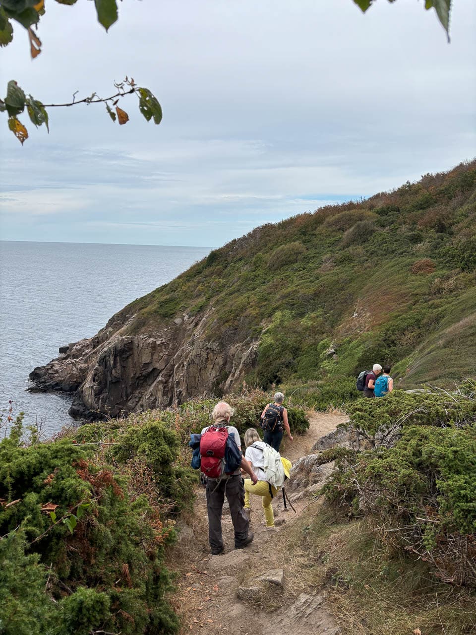 Katrien Boon IMG 4080 Katrien Boon