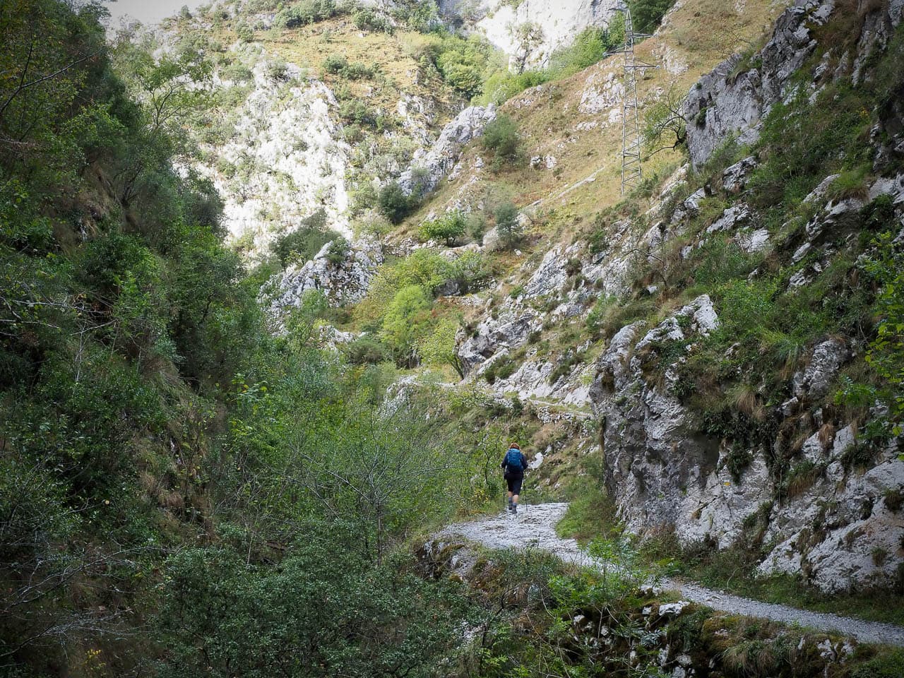 Selectie P9168954 Tom De Borger