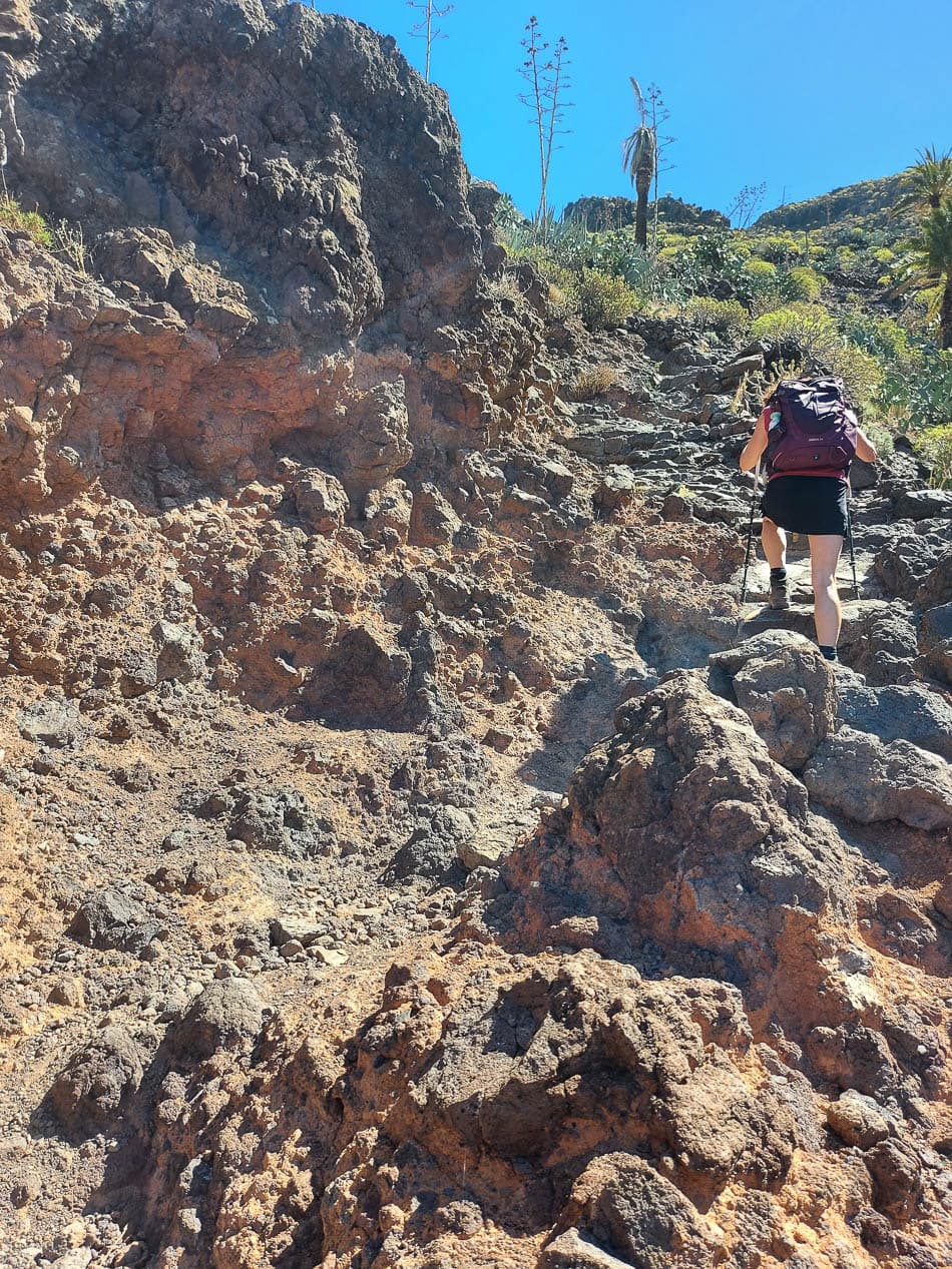 20240309 115111 Selectie Chris Van Deuren W950