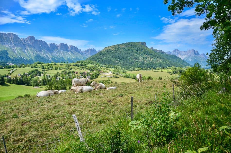 Paysage de Gresse en Vercors Matthieu Offredi_export_w950