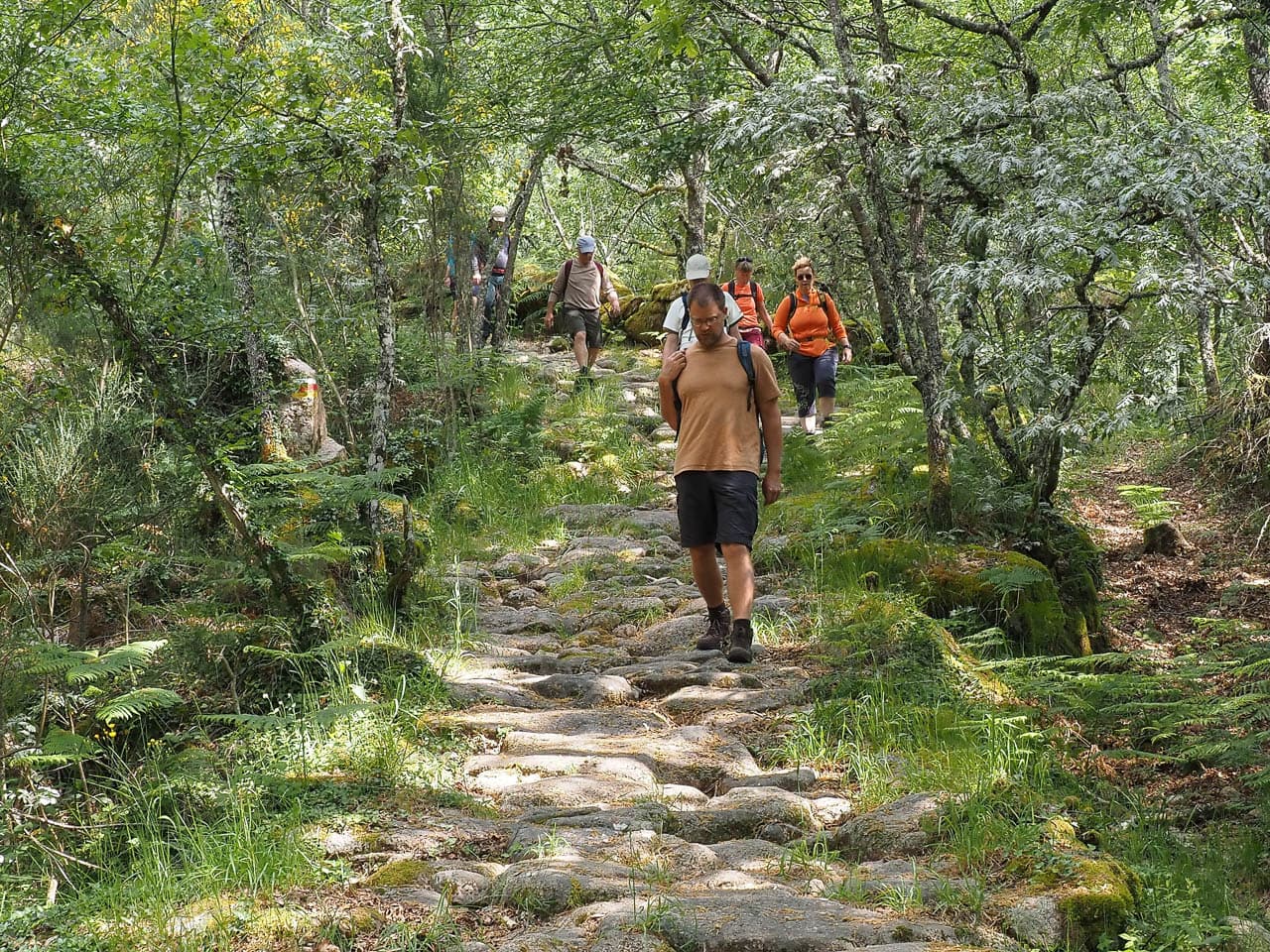 Selectie P6038142 Tom De Borger