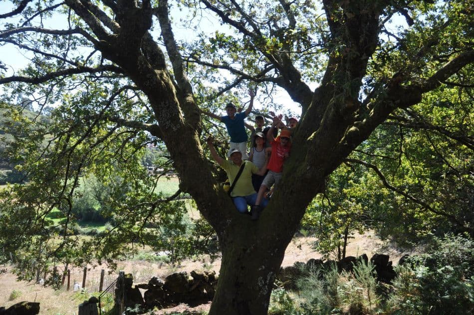 DSC_0255_export_w950