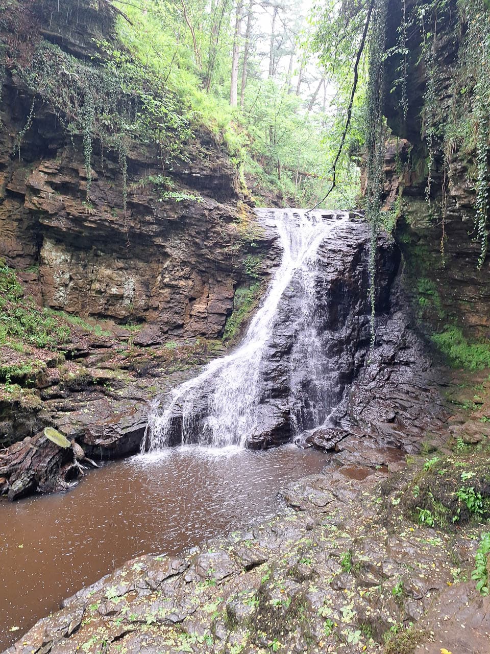 Selectie 20240522 113511 Willy Stoelzaet