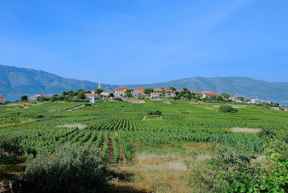 HR5DAA Lumbarda Wijngaarden Korcula Export Ruud Peeten
