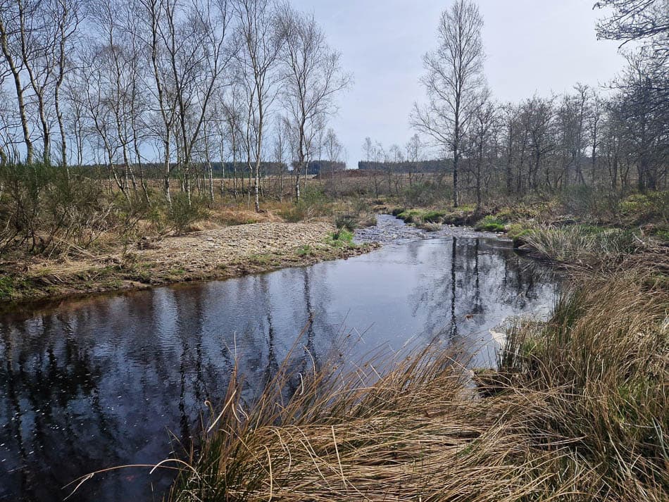 20240406 141526 Koen Toerismus Ostbelgien W950