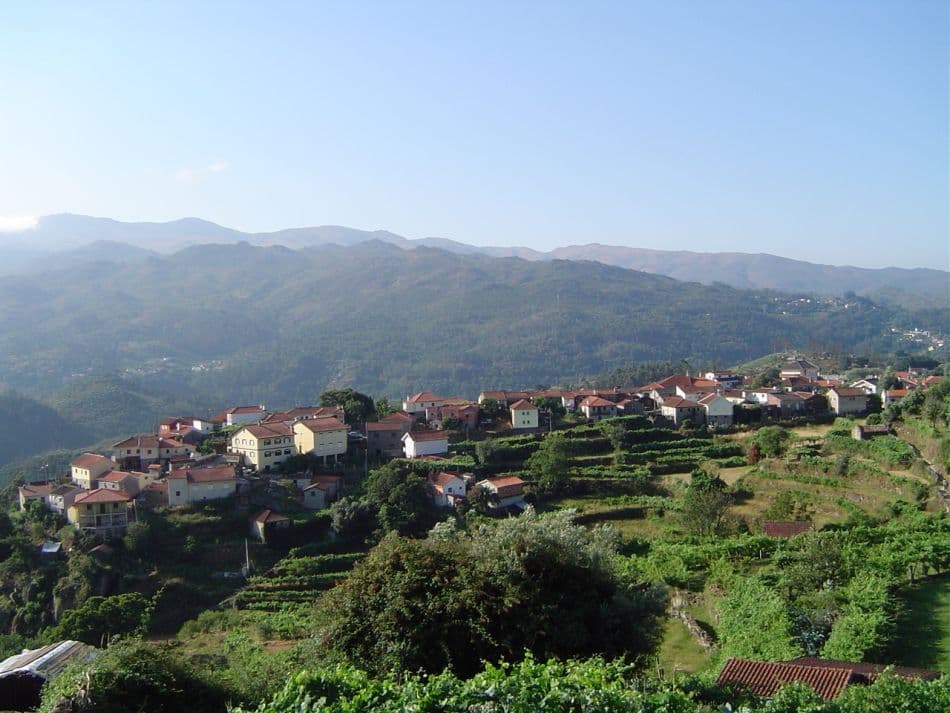 Minho-12-Ann-Dhondt-DSC01504_export_w950