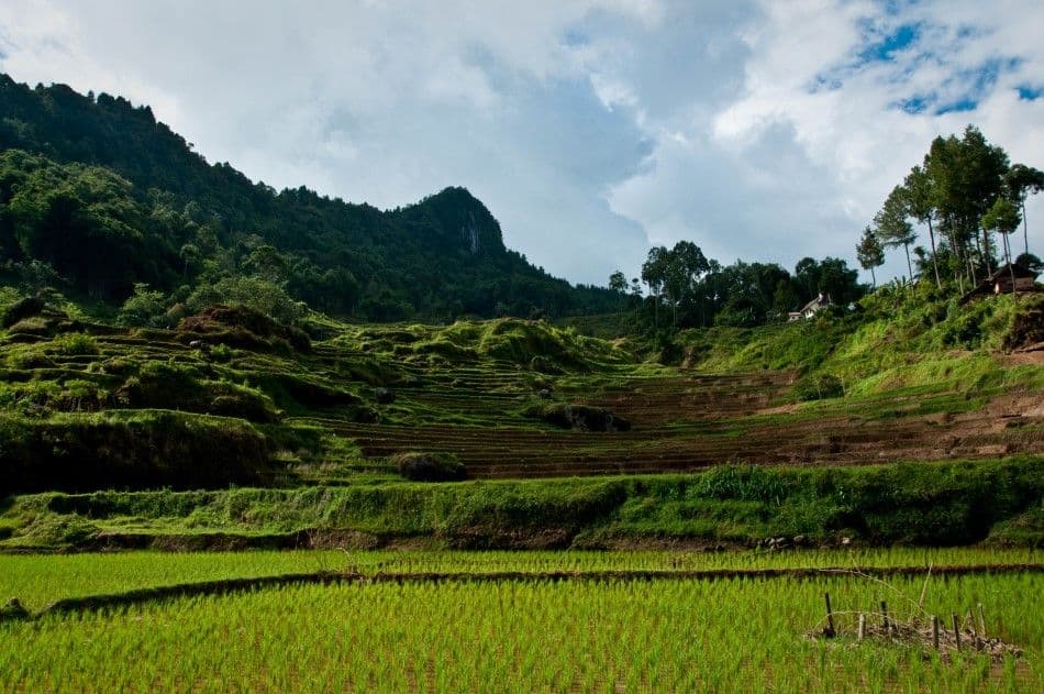 Java-Bali-Sulawesi-10-Stefaan-Moens-DSC_0655b-Custom