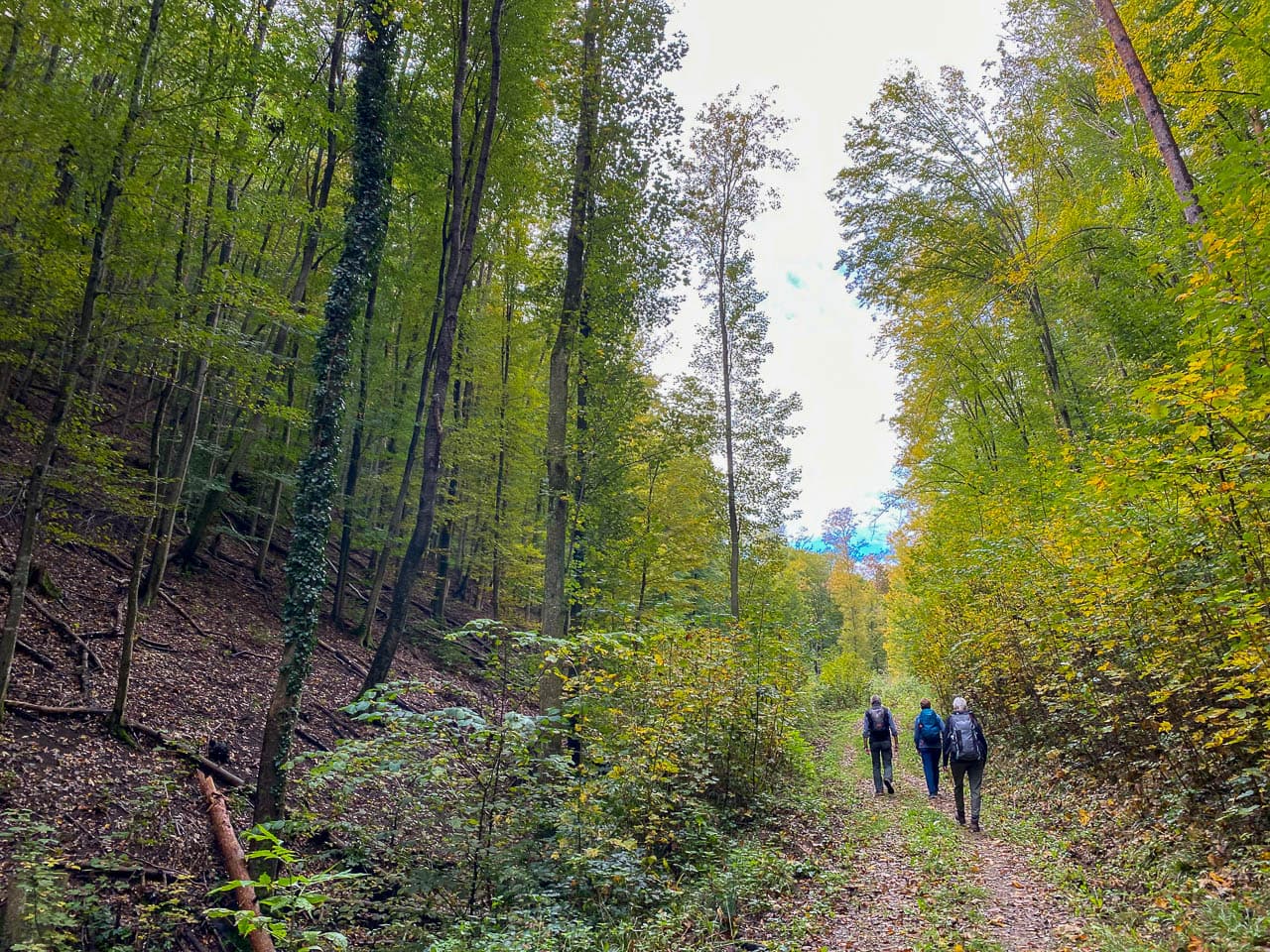 Img 3130 At1wnd Bart De Winter W1280