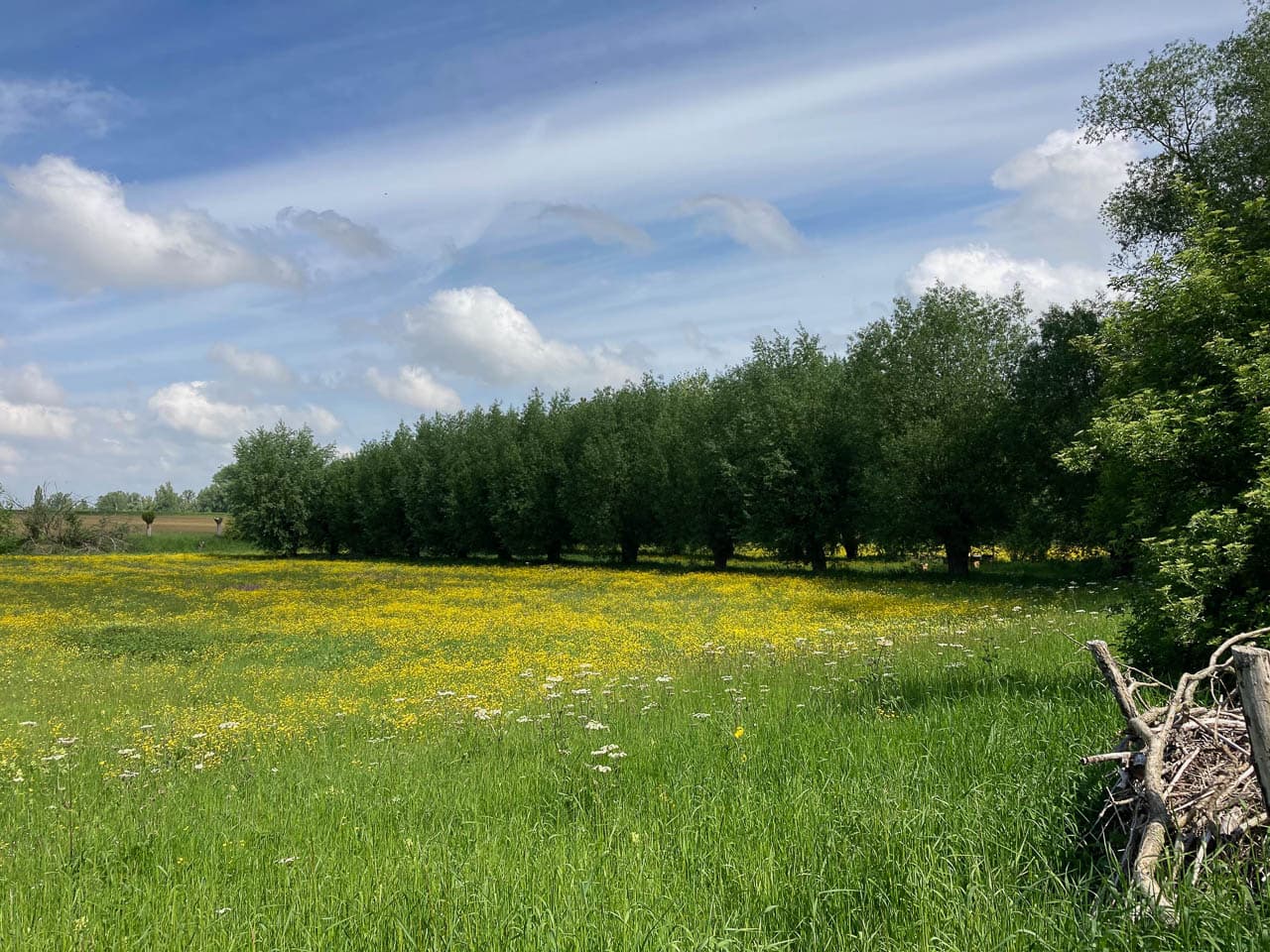 TS10 Populierenstraat 2 BE5FHA Grote Routepaden W1280