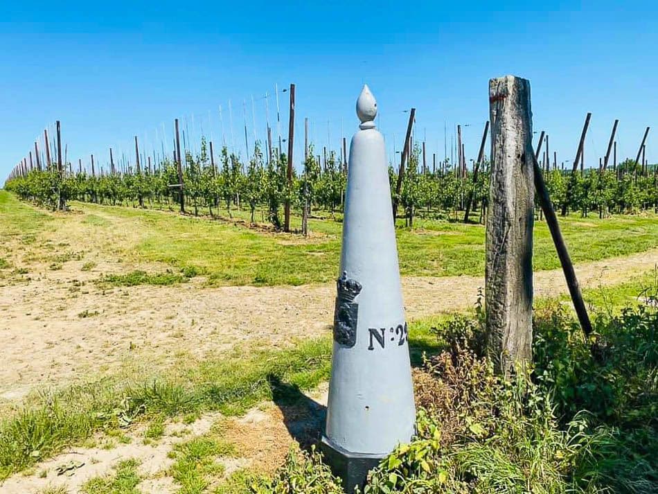 199500662_10224042771675681_255937618999062620_n_Els Roes_w950