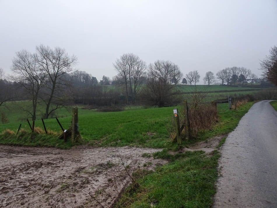 DSC00957_Johan Van Malderen_w950