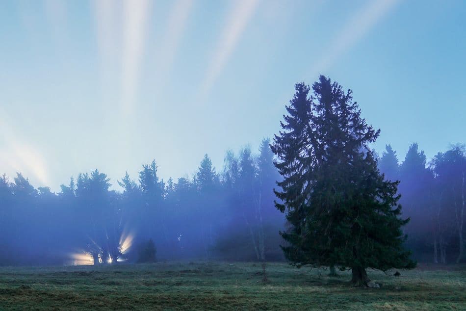 DSC00572 Copie_export_w950