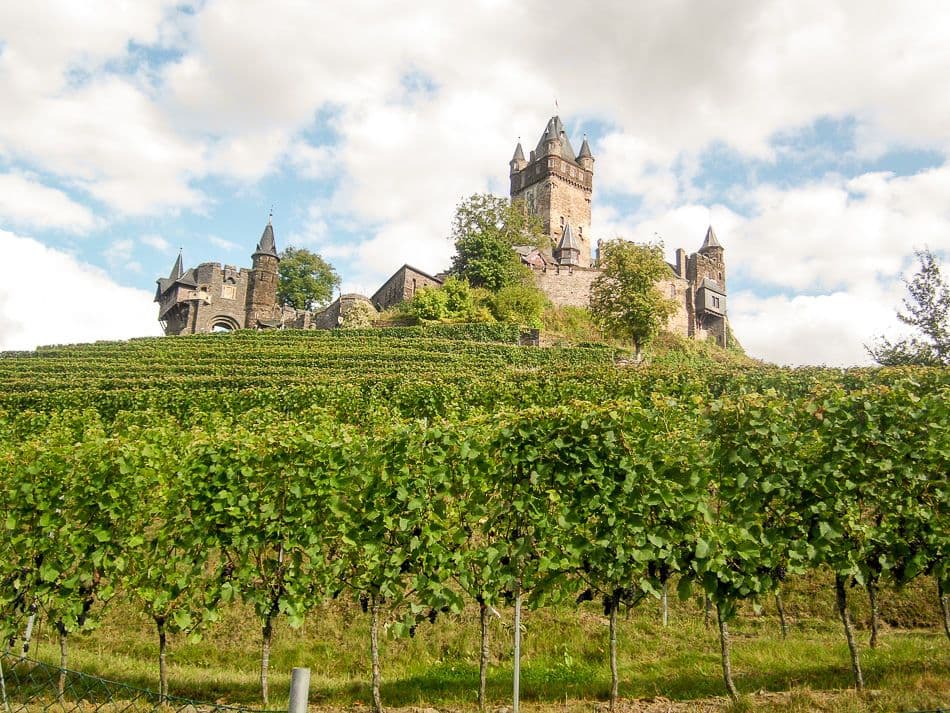 Moezel-12-Ann-Tilley-DSCI6585_export_w950