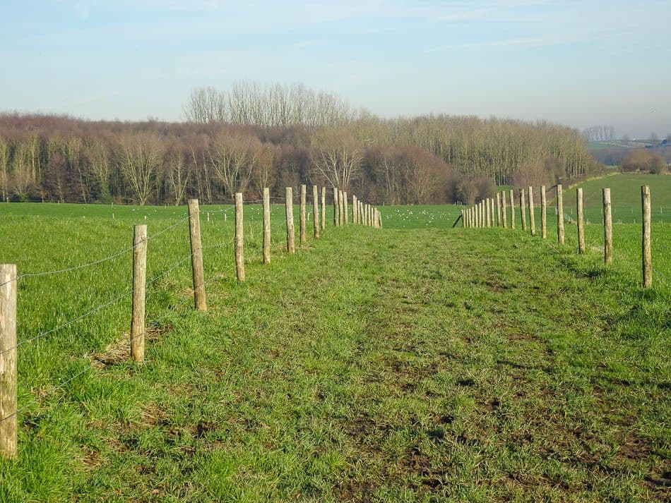 DSC00910_Johan Van Malderen_w950