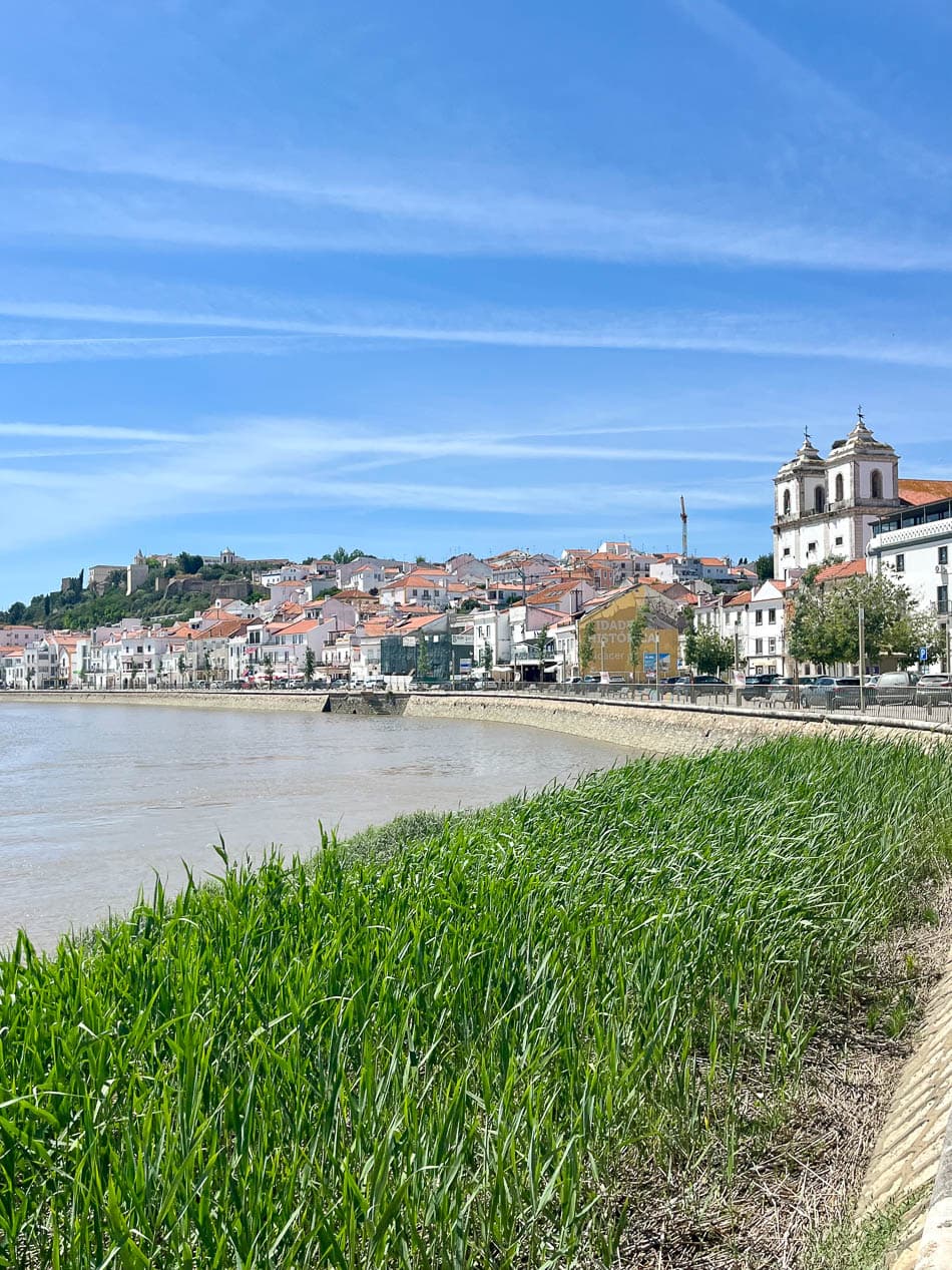 Image00021 PT6ALA Agent W950