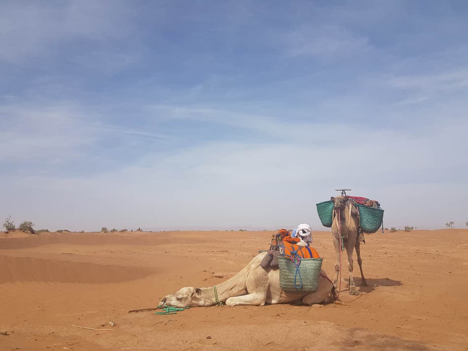 20231031 115440 Selectie Voor Rouwreis Charlotte Stevens W950