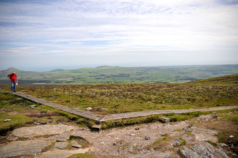 DSC_9612_export_w950 (2)