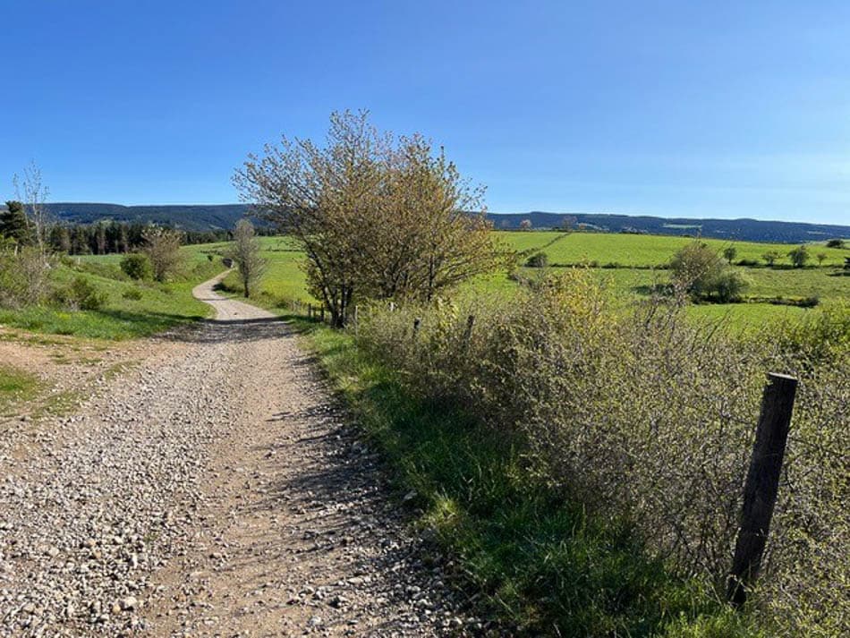 2. Bart Styfhals FR5CSA Bart Styfhals W950