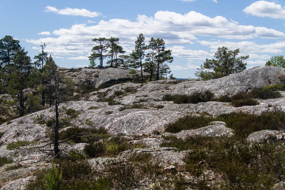 170526_Zweden_033_Peter-Cornelissen_w950