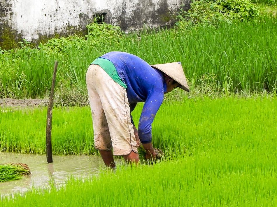 Indon Gina Swartenbroekx 2010 DSCN1145 Export W950