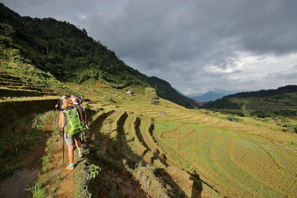 VN 193 Selectie Arne Vanwijnsberghe Arne Van Wijnsberghe W950