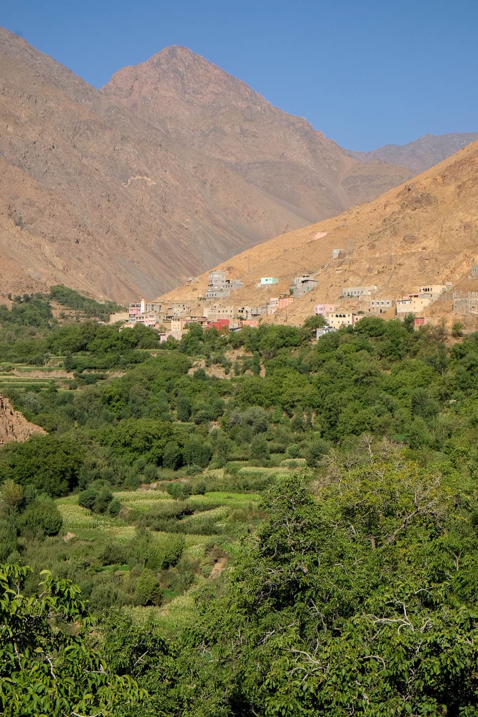 DSCF4929 Selectie Maarten Caversoons W950