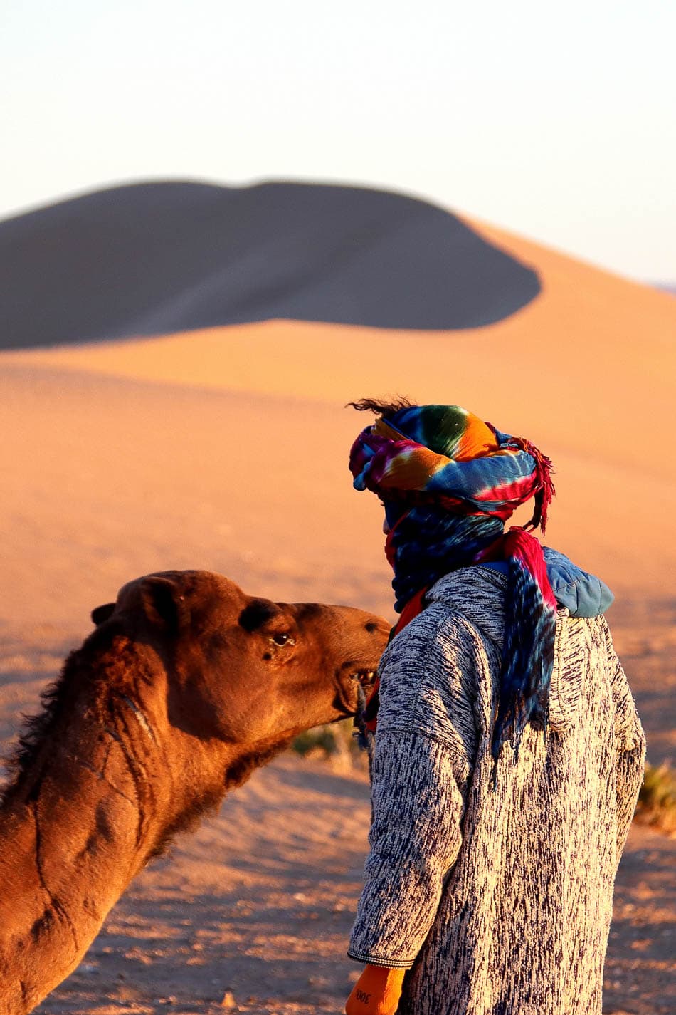 Sahara (80) Arne Vanwijnsberghe Arne Vanwijnsberghe W950