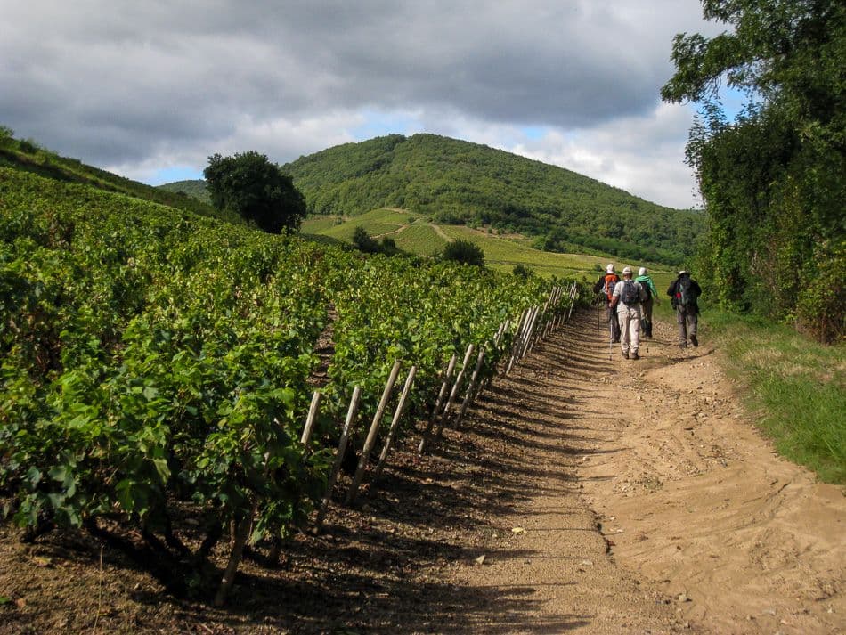 GR12-50-Beaujolais-Johan-Vandueren-IMG_1126_export_w950