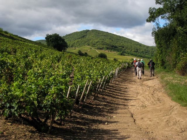 GR12-50-Beaujolais-Johan-Vandueren-IMG_1126_export_w950