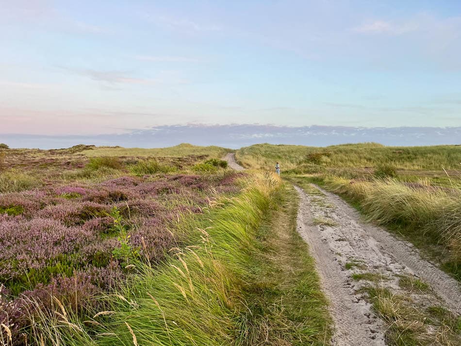 Image00002 Eveline Claes NL5TSA Eveline Claes W950