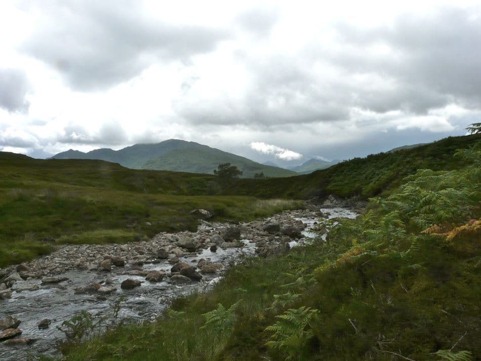 WHW-2012-Jean-Christophe-Troussart-P1010299_export_w950