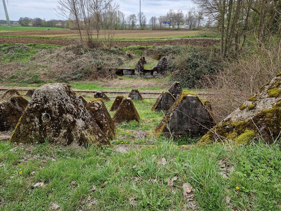 20230418_115734-NL5DMA Schrumpf Mirjam-Mirjam Schrumpf-w950