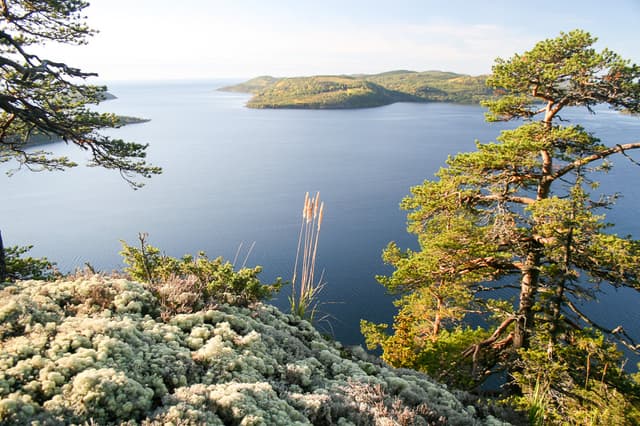 IND14 23 IMG 1659 Foto Agne Säterberg Export W950