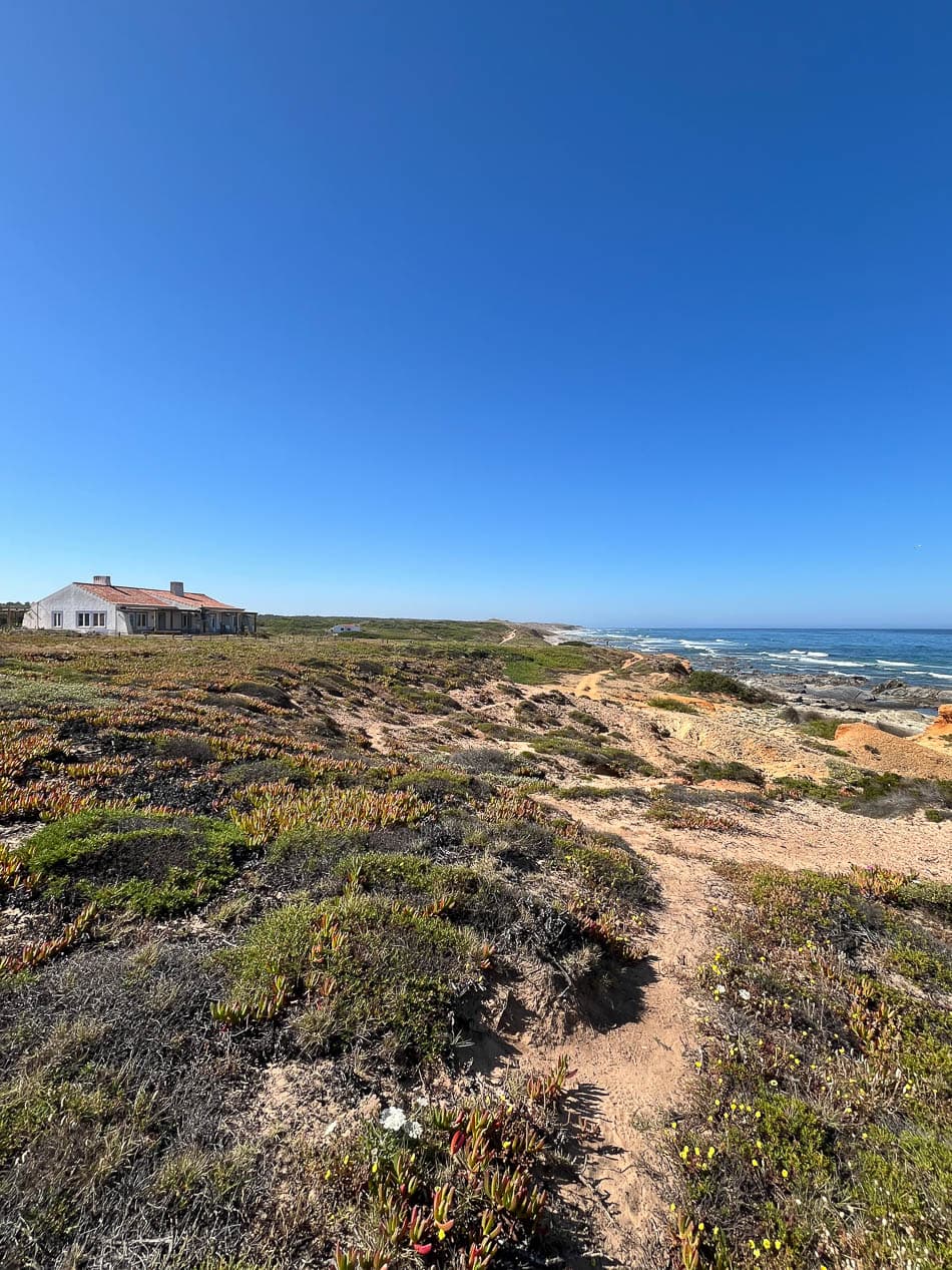 Image00010 PT6ALA Agent W950