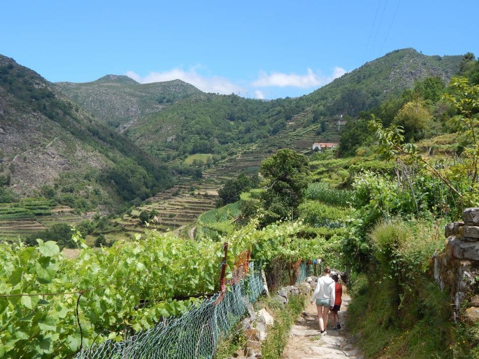 MA Minho DSCN8126_export