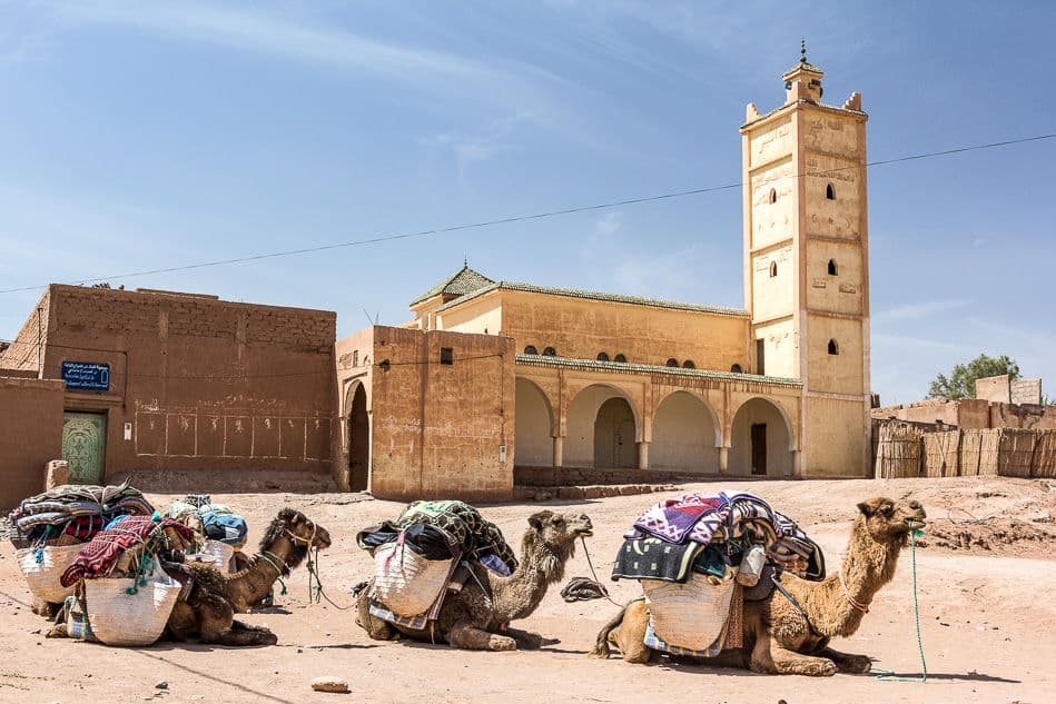 Fotos-Marokko-72-IMG_1576_export_w950