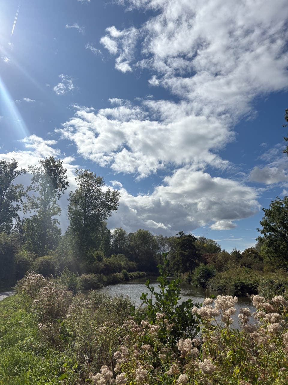 BE5PJA Image00010 Margot Pappijn