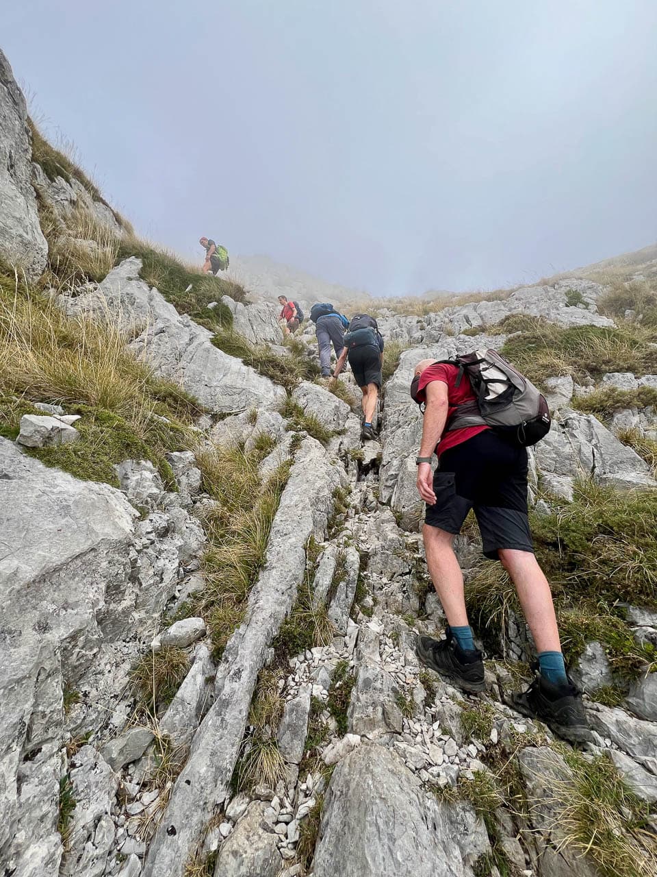 Selectie IMG 8927 Tom De Borger