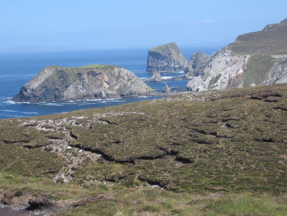 Afbeelding-175_export