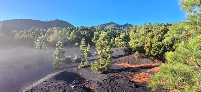 20240920 090545 Te Verwerken Rob Vanderhaeghe W950